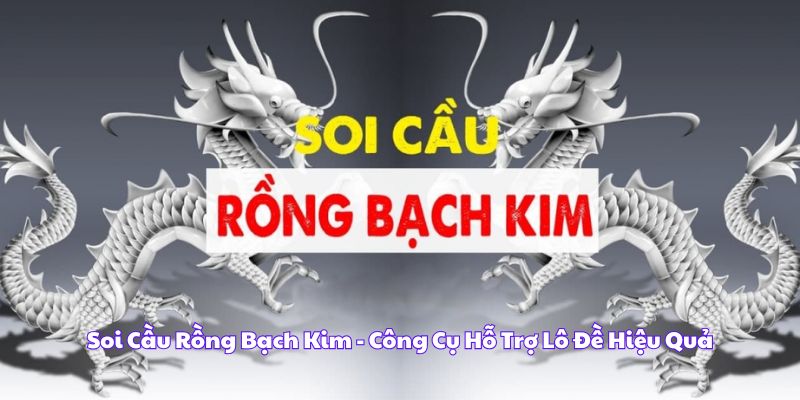 Soi Cầu Rồng Bạch Kim 789WIN – Bí Quyết Để Trúng Lớn